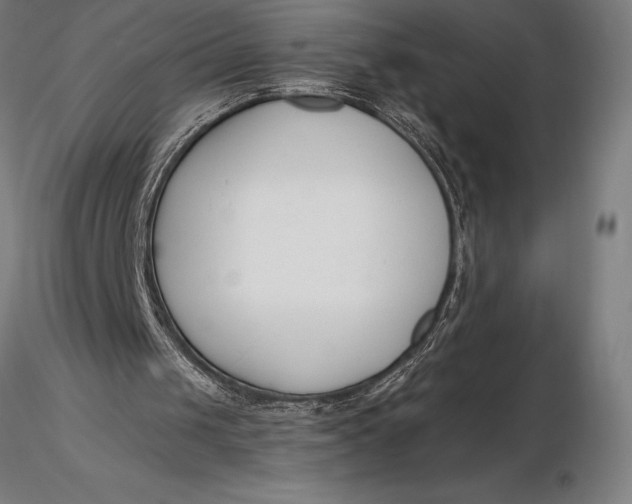 X0000116160049200912141230