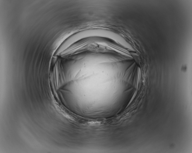X0000116160052200912141230