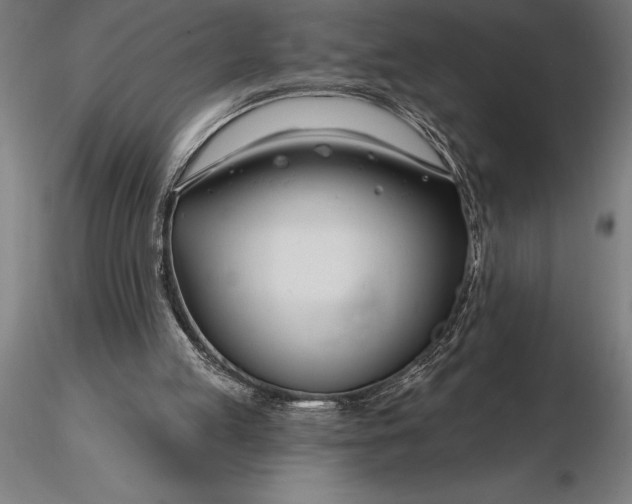 X0000116160053200912141230