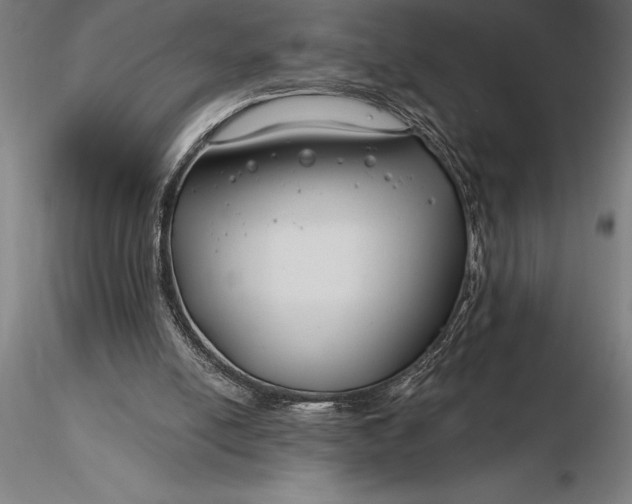 X0000116160054200912141230