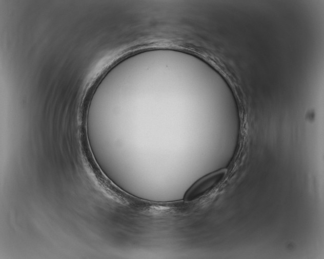 X0000116160055200912141230