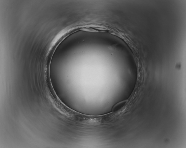 X0000116160056200912141230