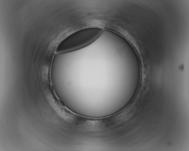 X0000116160057200912141230