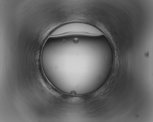X0000116160058200912141230