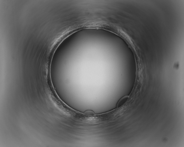 X0000116160059200912141230