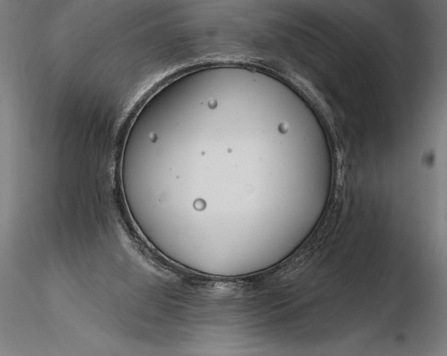 X0000116160060200912141230