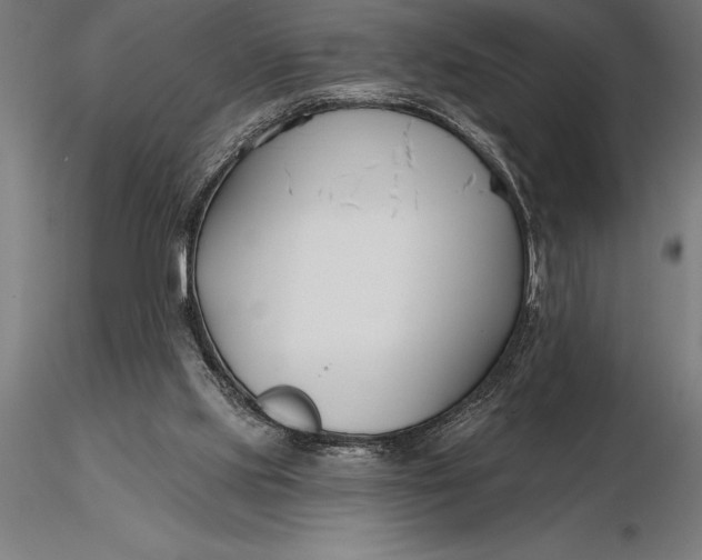 X0000116160061200912141230