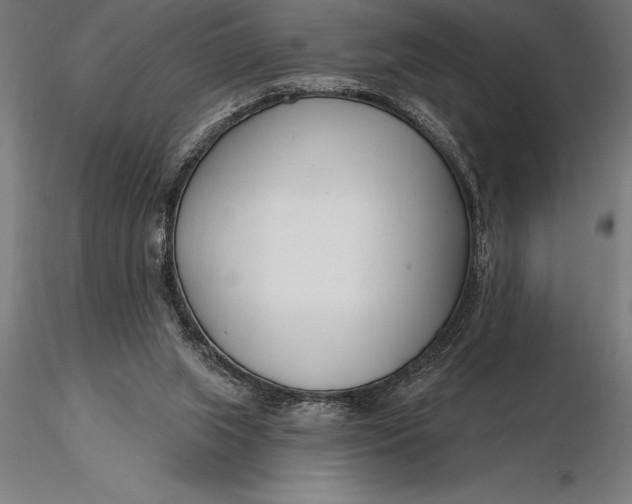 X0000116160063200912141230