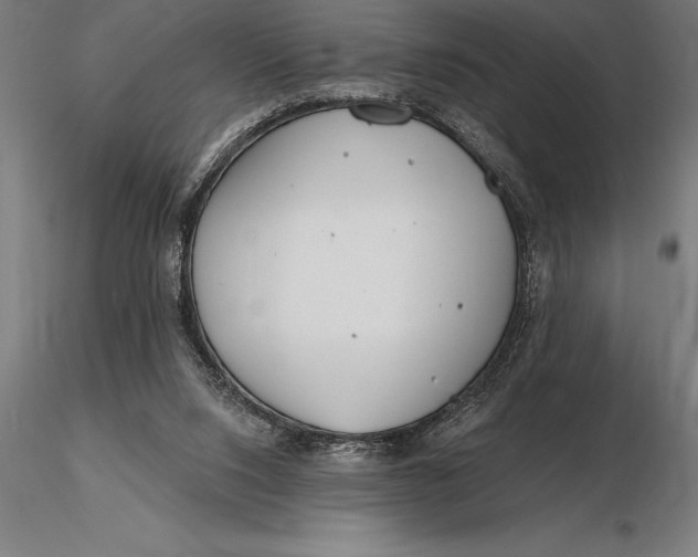 X0000116160064200912141230