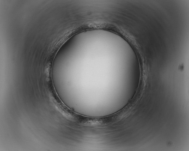 X0000116160065200912141230