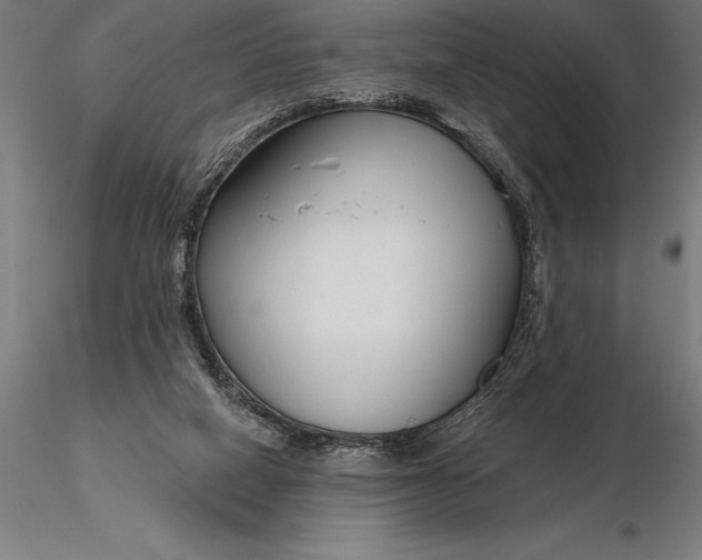 X0000116160066200912141230