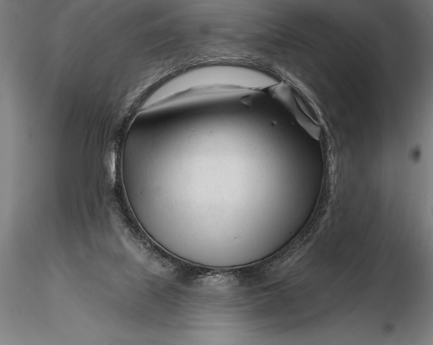 X0000116160067200912141230