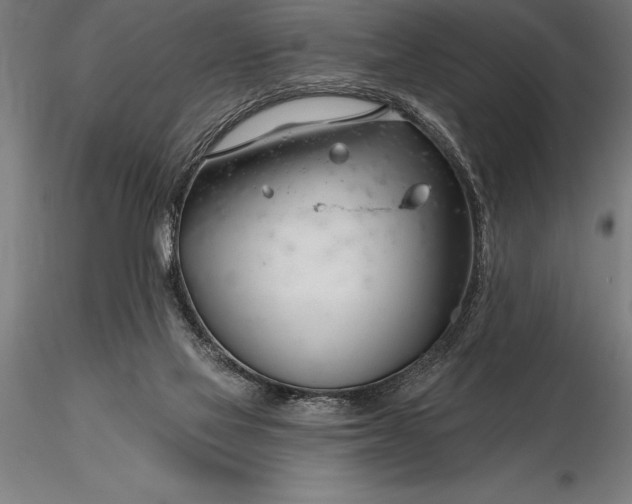 X0000116160069200912141230