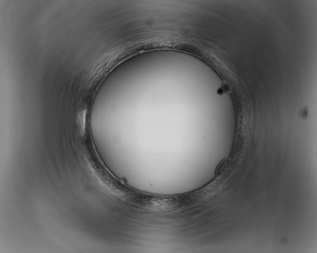 X0000116160070200912141230