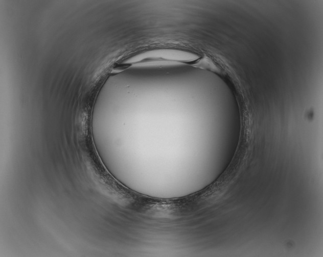 X0000116160071200912141230