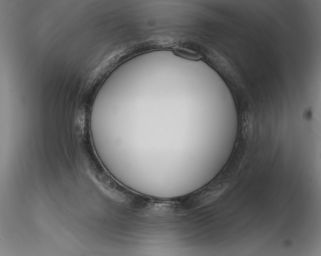 X0000116160072200912141230