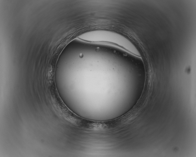 X0000116160073200912141230