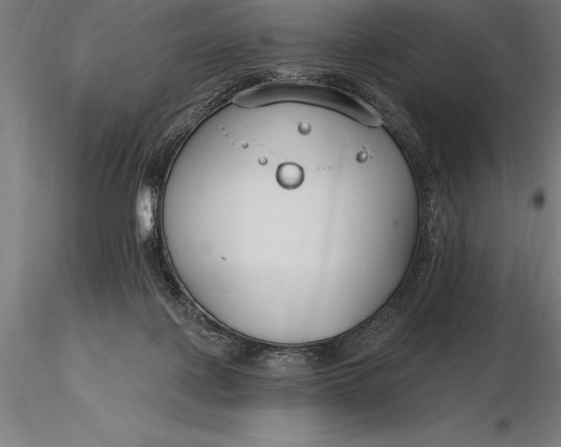 X0000116160075200912141230