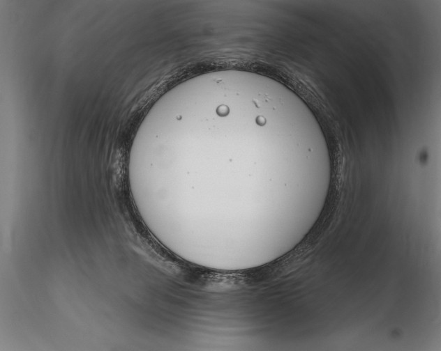 X0000116160077200912141230