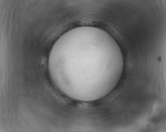 X0000116160079200912141230