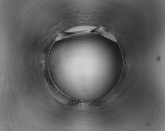 X0000116160080200912141230