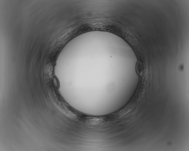 X0000116160081200912141230