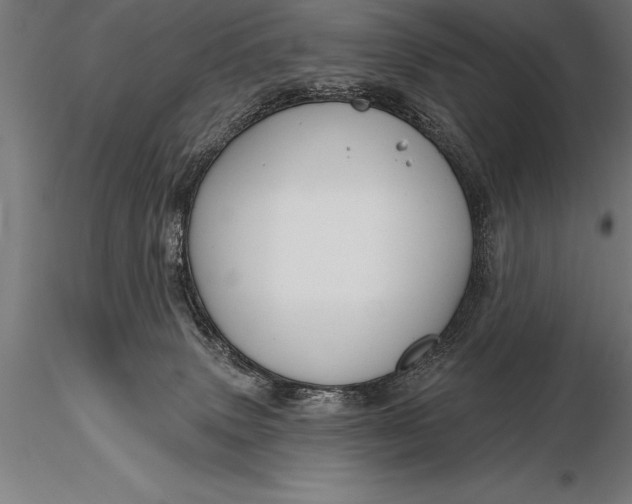 X0000116160083200912141230