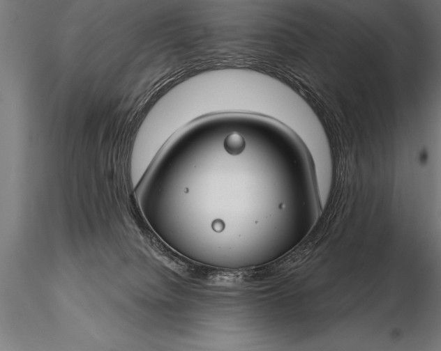 X0000116160084200912141230