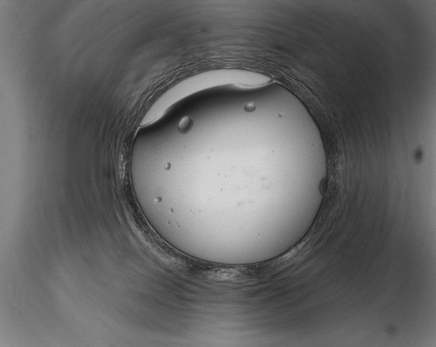 X0000116160086200912141230