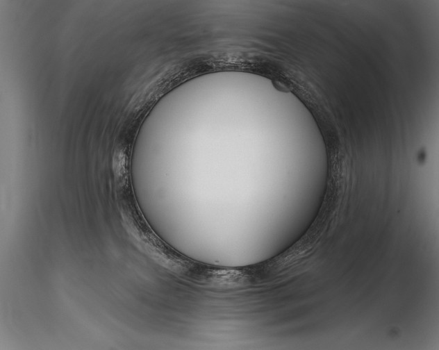 X0000116160087200912141230