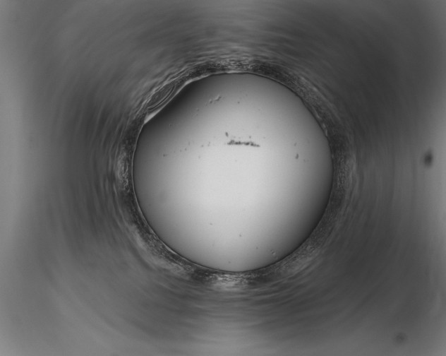 X0000116160088200912141230