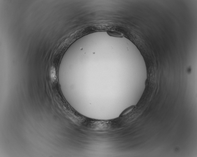 X0000116160089200912141230