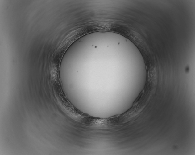 X0000116160092200912141230