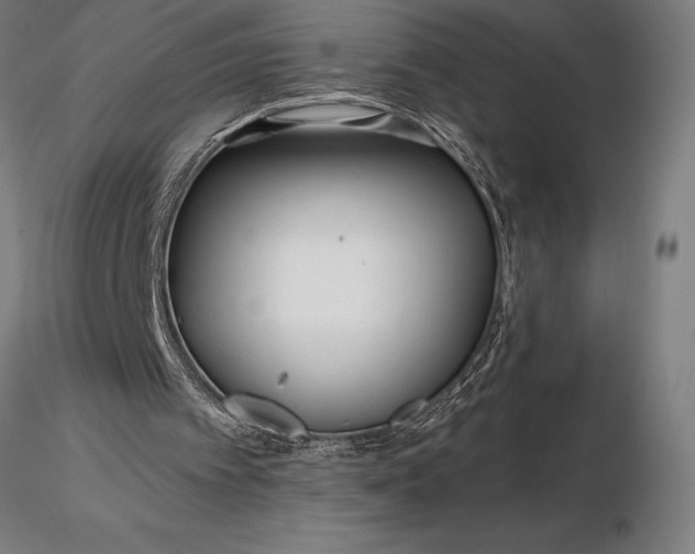 X0000116160097200912141230