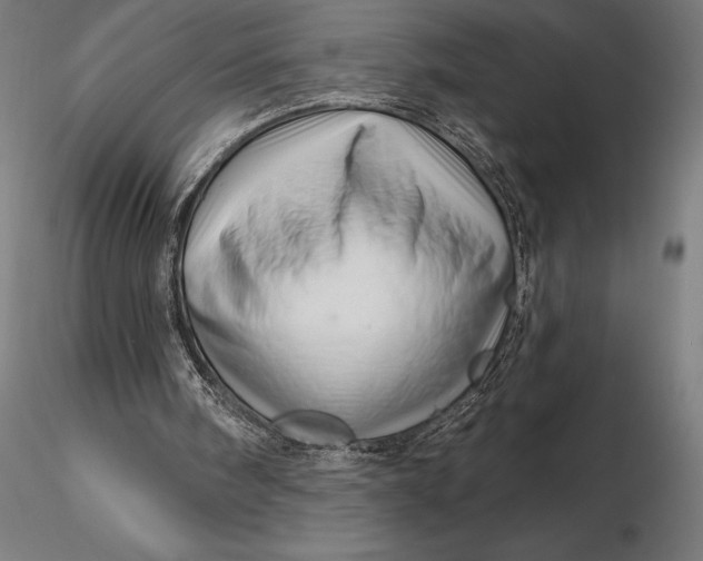 X0000116160098200912141230