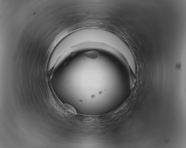 X0000116160099200912141230