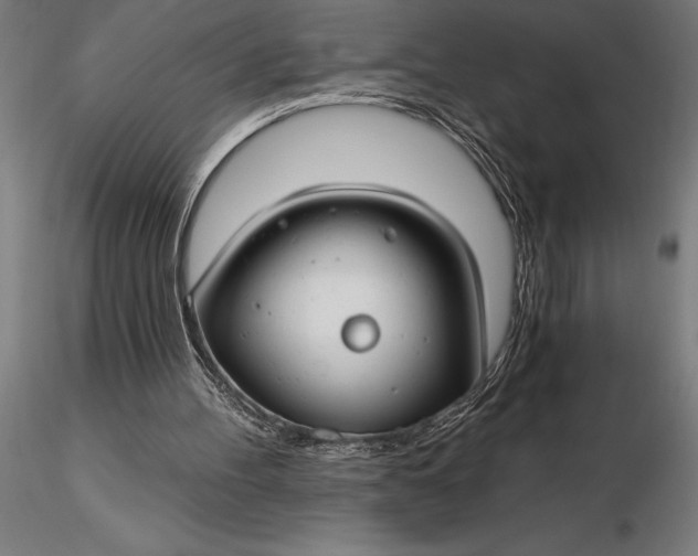 X0000116160100200912141230