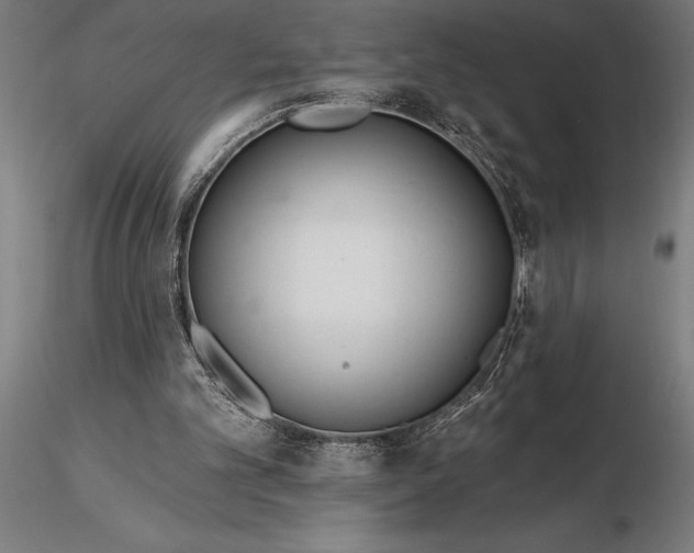 X0000116160101200912141230