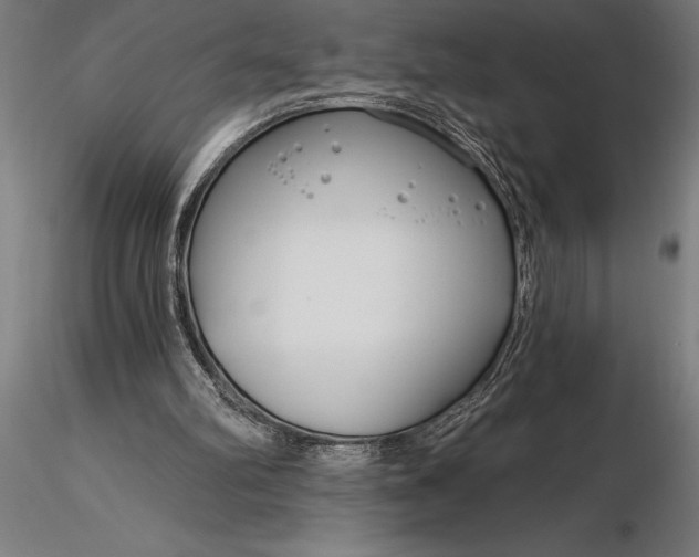 X0000116160102200912141230