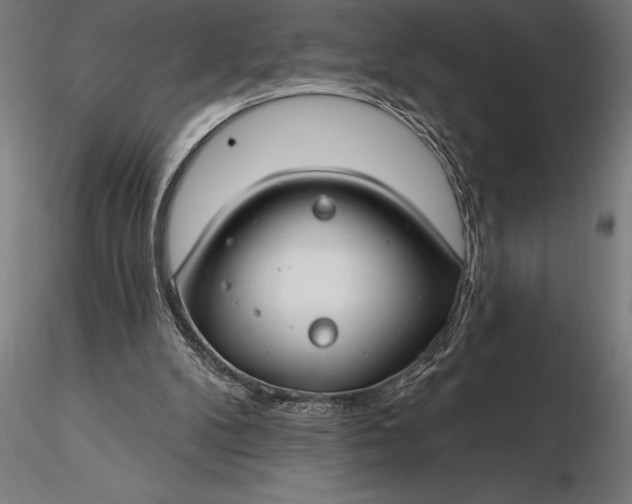 X0000116160104200912141230