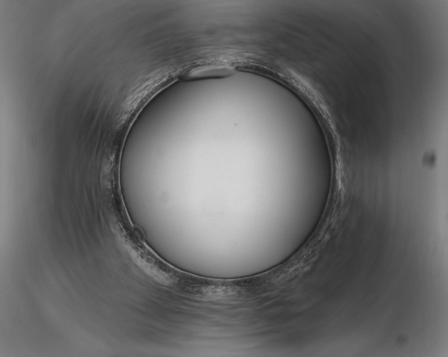 X0000116160105200912141230