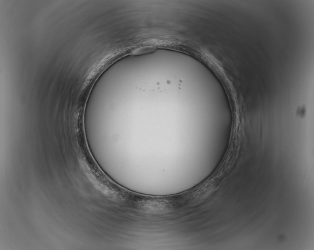 X0000116160106200912141230