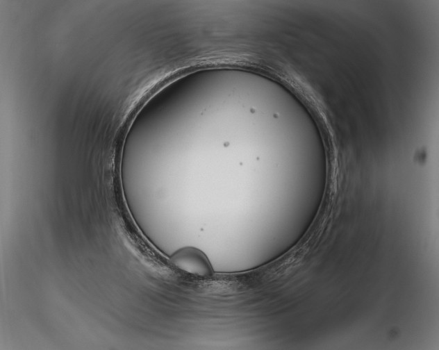 X0000116160107200912141230