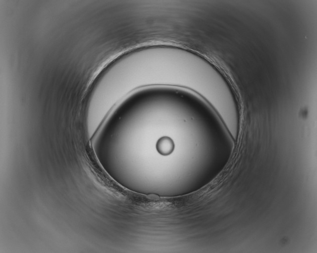 X0000116160108200912141230