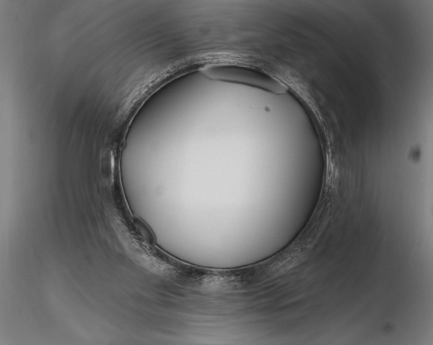 X0000116160109200912141230