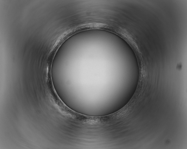 X0000116160110200912141230