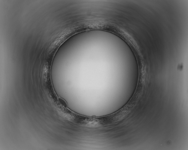X0000116160113200912141229