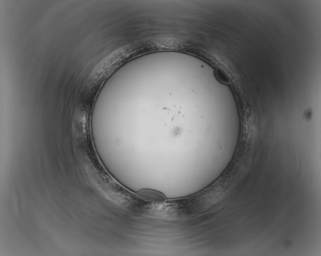 X0000116160117200912141229