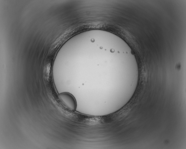 X0000116160118200912141229