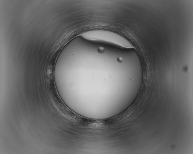 X0000116160119200912141229